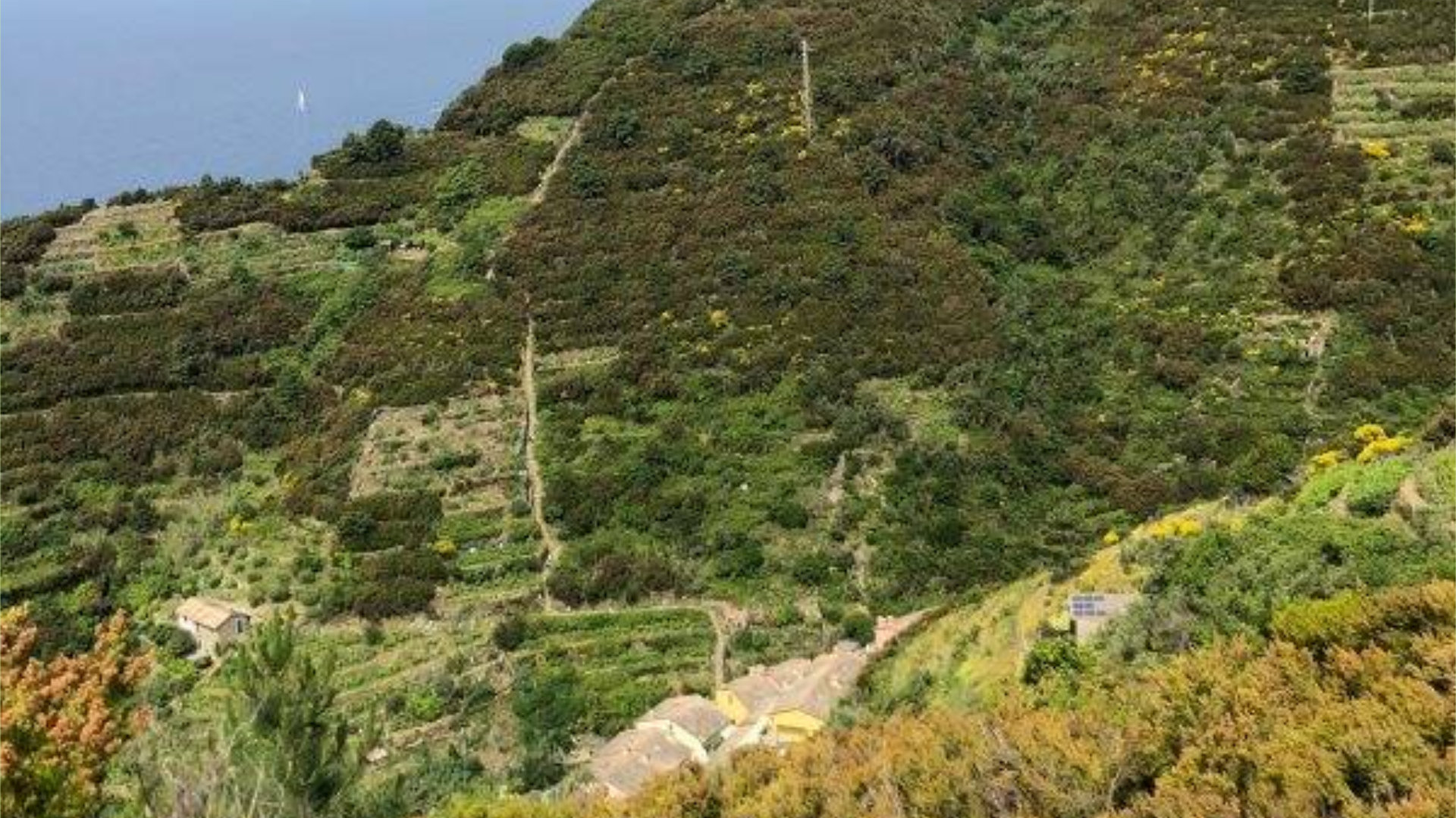 Il Parco delle Cinque Terre ottiene il rinnovo della registrazione Emas