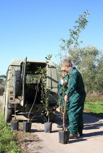 Giornata della biodiversità vegetale - 21-11-2014 - 114