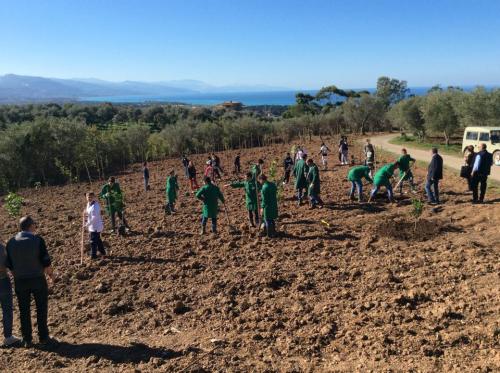 Giornata della biodiversità vegetale - 21-11-2014 - 16