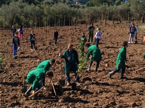 Giornata della biodiversità vegetale - 21-11-2014 - 17