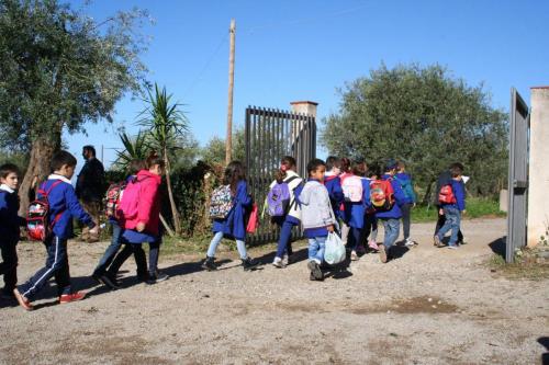 Giornata della biodiversità vegetale - 21-11-2014 - 38
