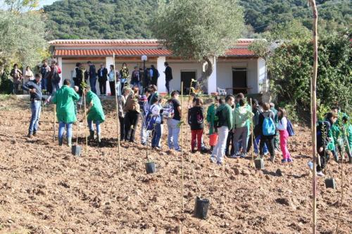 Giornata della biodiversità vegetale - 21-11-2014 - 56