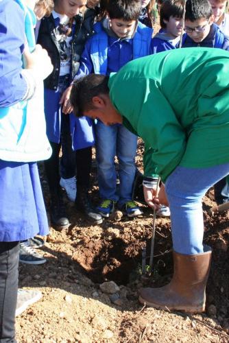 Giornata della biodiversità vegetale - 21-11-2014 - 57