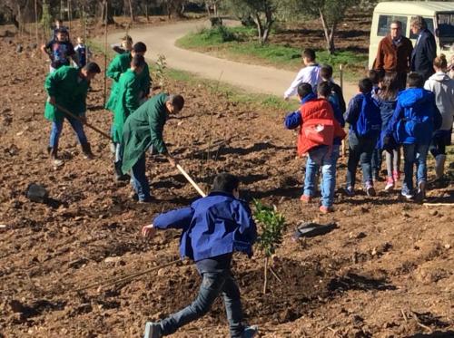 Giornata della biodiversità vegetale - 21-11-2014 - 6