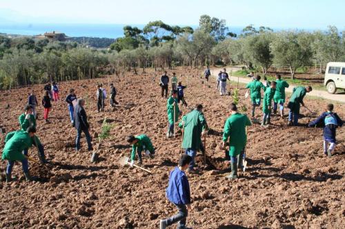 Giornata della biodiversità vegetale - 21-11-2014 - 62