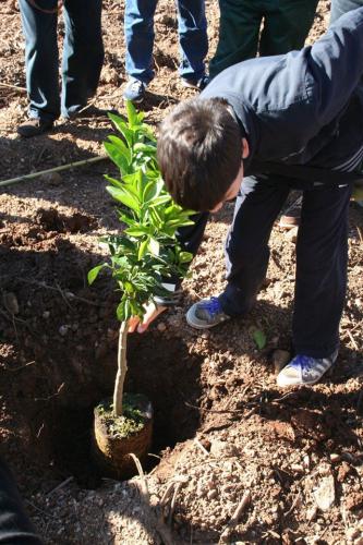 Giornata della biodiversità vegetale - 21-11-2014 - 65