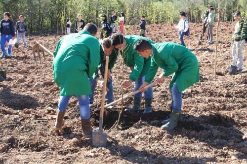 Giornata della biodiversità vegetale - 21-11-2014 - 66