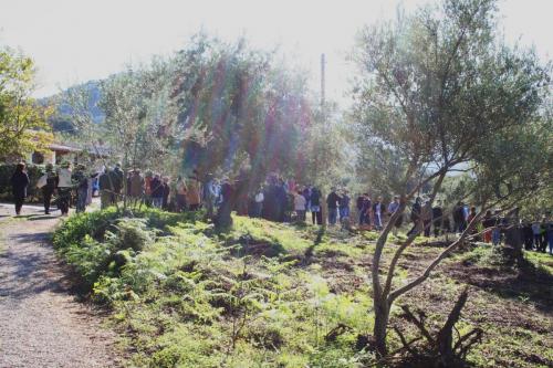 Giornata della biodiversità vegetale - 21-11-2014 - 67