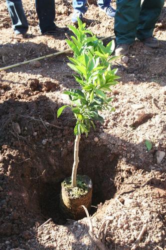Giornata della biodiversità vegetale - 21-11-2014 - 70