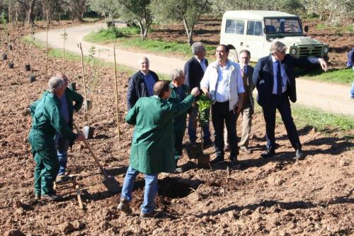 Giornata della biodiversità vegetale - 21-11-2014 - 73
