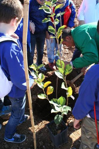 Giornata della biodiversità vegetale - 21-11-2014 - 77