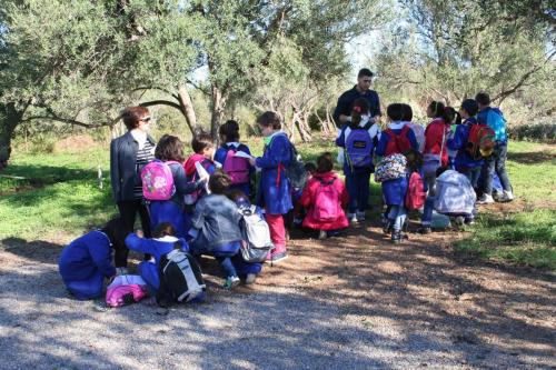 Giornata della biodiversità vegetale - 21-11-2014 - 78