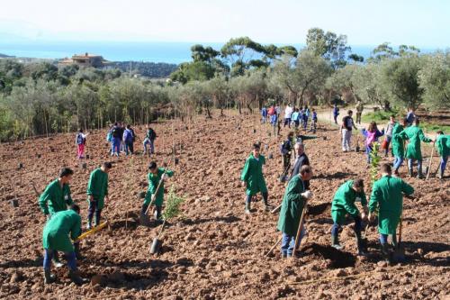 Giornata della biodiversità vegetale - 21-11-2014 - 80