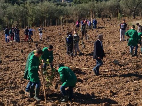 Giornata della biodiversità vegetale - 21-11-2014 - 9