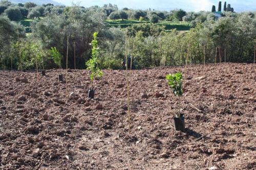 Giornata della biodiversità vegetale - 21-11-2014 - 96